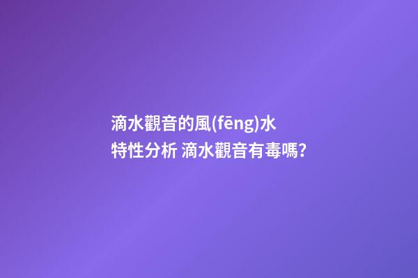 滴水觀音的風(fēng)水特性分析 滴水觀音有毒嗎？